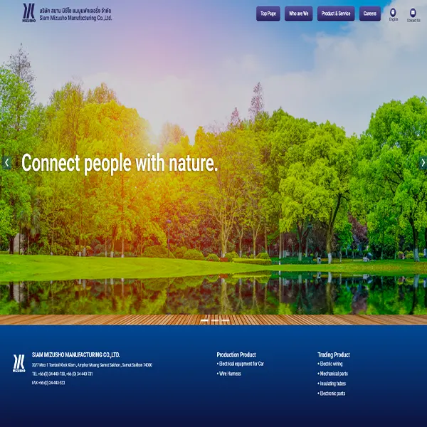 Creative Web Developer